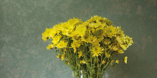 Обои в интерьере артикул Td7 005, Tondo, Loymina Обои в интерьере артикул Td7 005, Tondo, Loymina